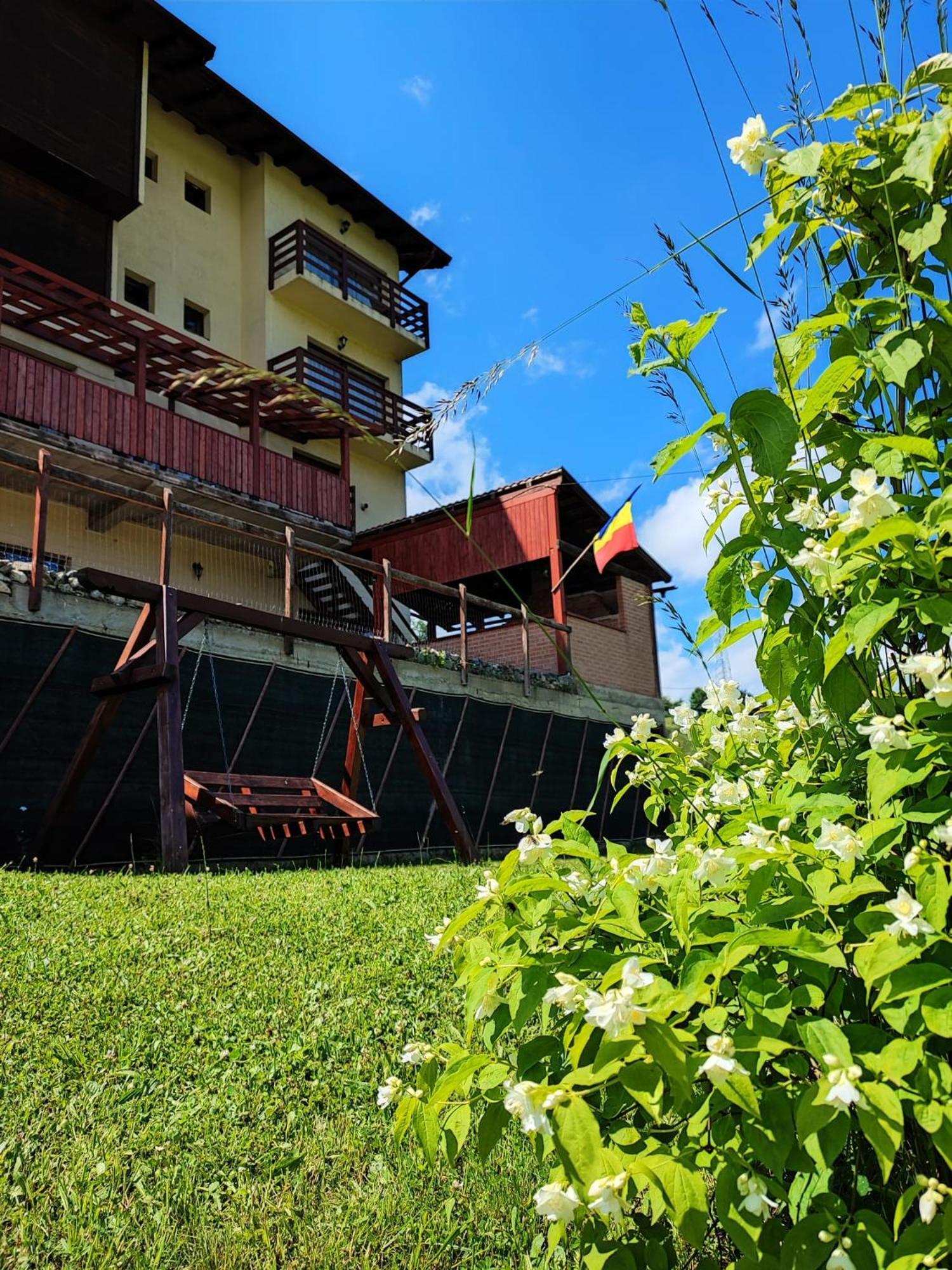 Pensiunea Daria Fundata Exterior foto
