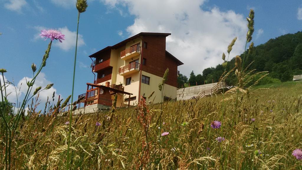 Pensiunea Daria Fundata Exterior foto